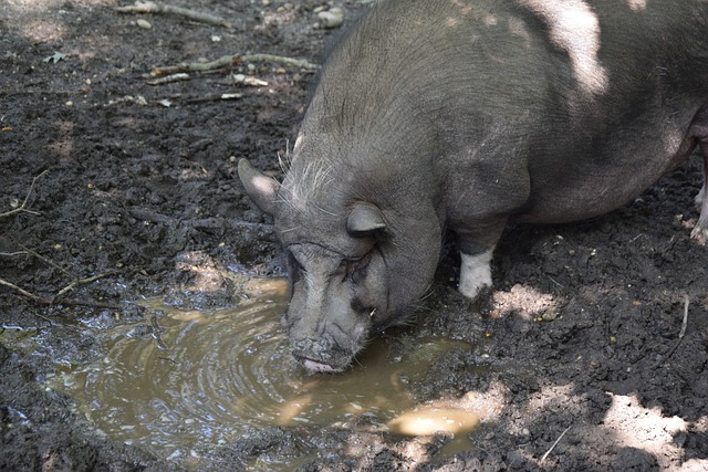 态的关注 态的关注